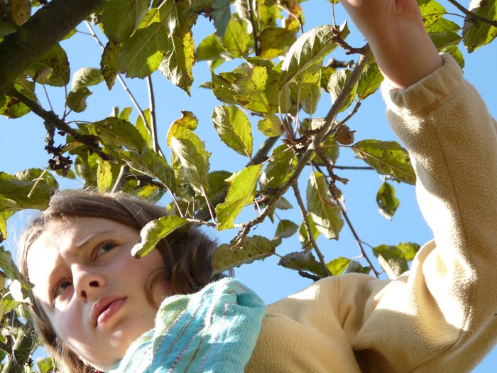 GEMINI z.s. | fotogaleire